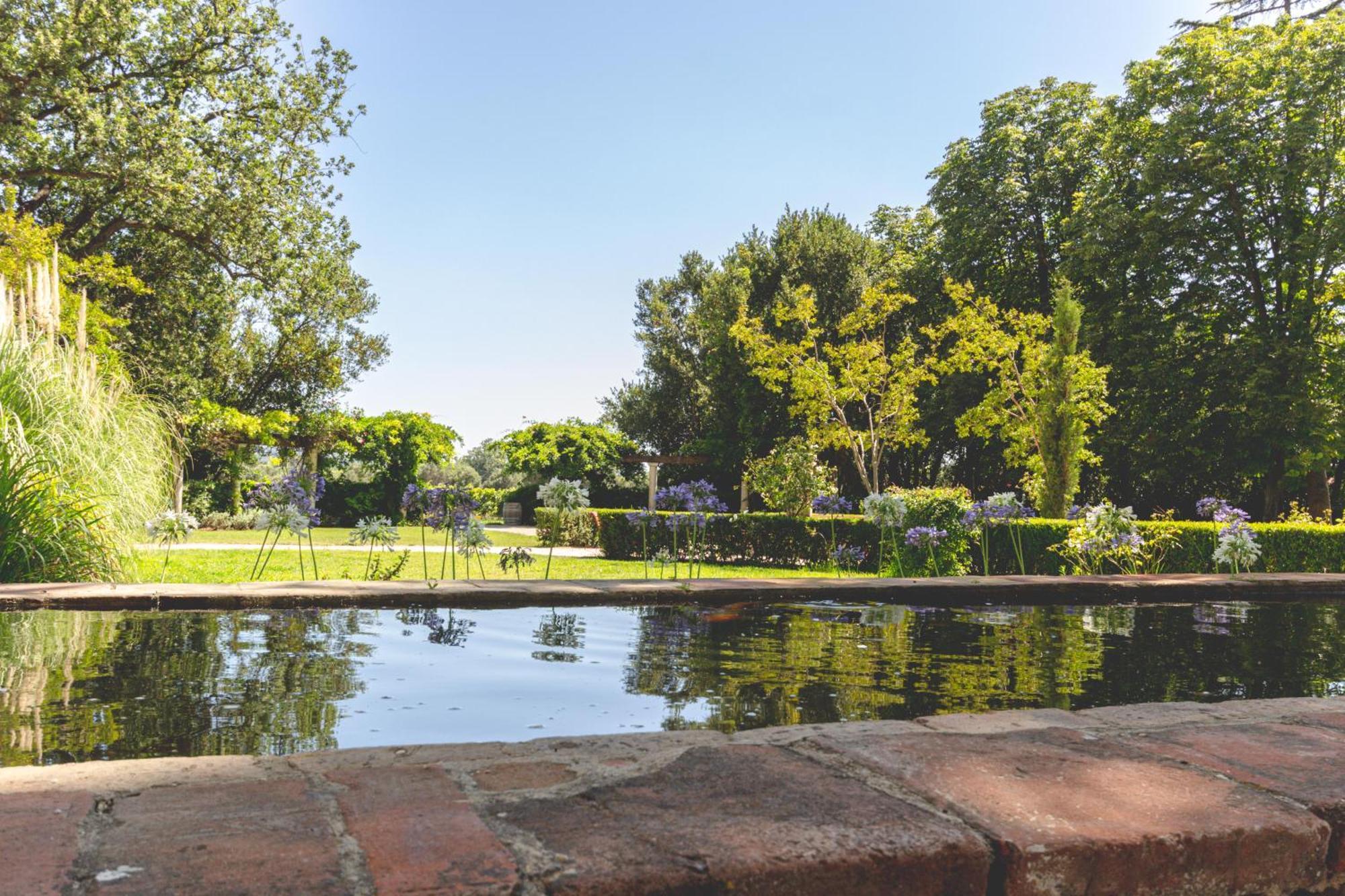 Domaine De La Baratonne Bed & Breakfast La Garde  Dış mekan fotoğraf